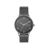 Herreur Skagen SKW6624 ( 40 mm) #1