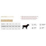 Hundefrakke Looney Tunes Multifarvet #7