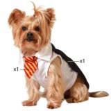 Hundedragt Strrelse S Tryllekunster mand #1