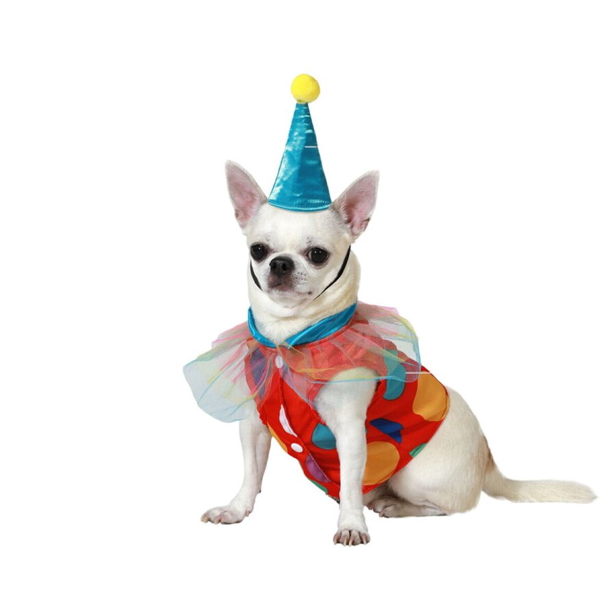 Hundedragt Strrelse S Mande klovn #1