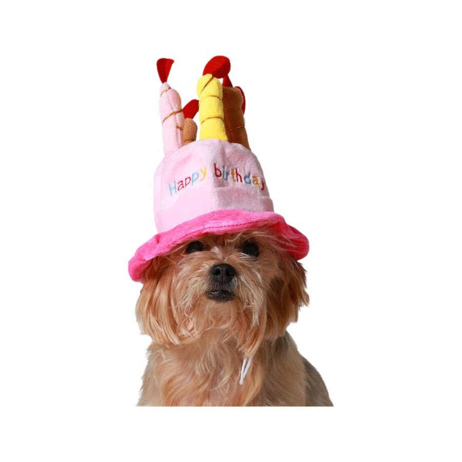 Hundedragt Pink Hat Fdselsdag #1