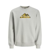 Sweaters uden Htte til Mnd Jack & Jones SWEAT CREW NECK 12262094 Gr #1