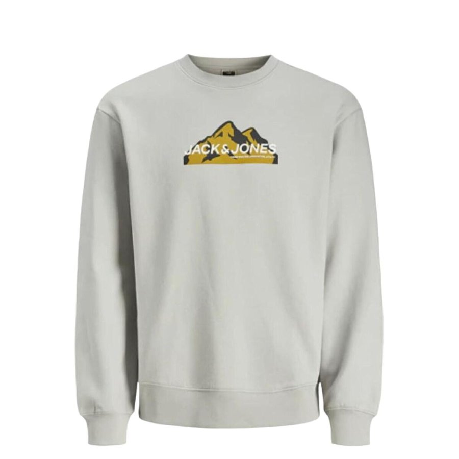 Sweaters uden Htte til Mnd Jack & Jones SWEAT CREW NECK 12262094 Gr #1