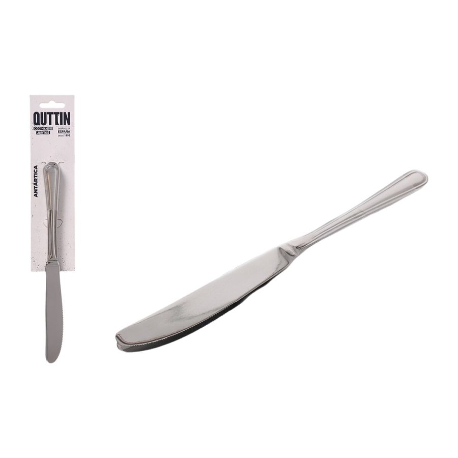 Knivst Quttin Antrtica Slvfarvet Rustfrit stl 21,6 x 1,8 cm 2 Dele (12 enheder) #7