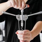 Oplukker med proptrkker Quttin 18 x 7 x 4 cm Slvfarvet (18 enheder) #3