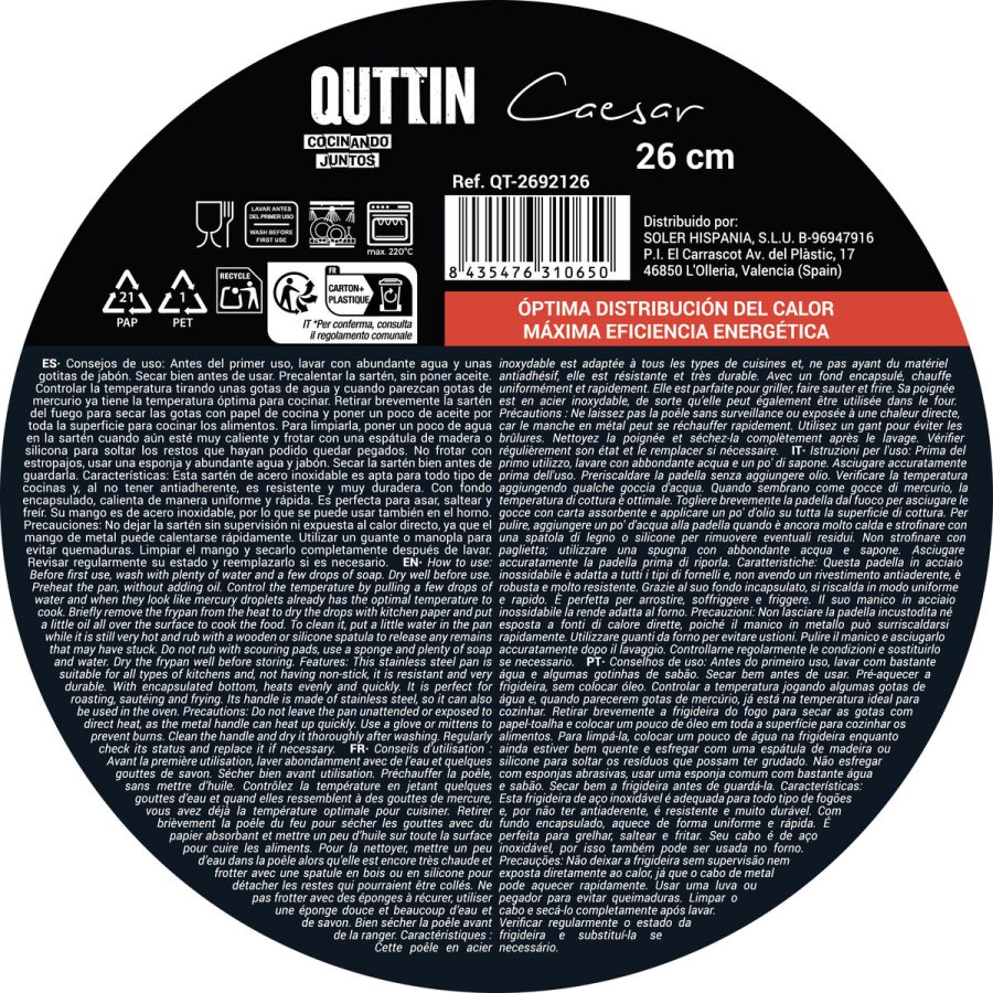 Stegepande Quttin CAESAR S�lvfarvet St�l � 26 cm (4 enheder) #6