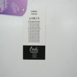 Trningsdragt til brn Gabby's Dollhouse Pink #4