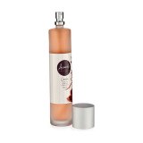 Luftfrisker Spray Acorde 100ML SPRY-CAN Kanel 100 ml (12 enheder) #5