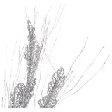 Gren Slvfarvet 46 x 80 x 5 cm (12 enheder) #9