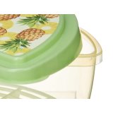 Madkasse Leknes TP581-2 Plastik Ananas Kiwi 23 x 8 x 13 cm Frugt (24 enheder) #3