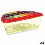 Madkasse Leknes TP581-3 Multifarvet Plastik 23 x 8 x 13 cm Frugt og grntsager (24 enheder) #1