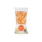 Luftfrisker Acorde F-612 Orange Ingefr 150 g Gel (12 enheder) #5