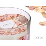 Duftlys Acorde 3 WICK JAR- A Maylu 400 g (6 enheder) #4