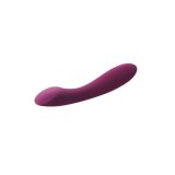 G-Punkt Vibrator Svakom #1