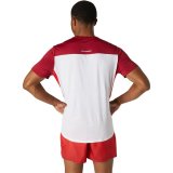 Kort�rmet T-shirt til M�nd Asics 2011A781-107 R�d #2