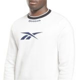 Sweaters uden H�tte til M�nd Reebok Identity Arch Logo Fleece #5