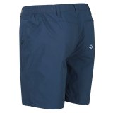 Herre Shorts Regatta Regatta Highton Marinebl� #2