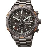 Herreur Citizen CB5007-51H #1