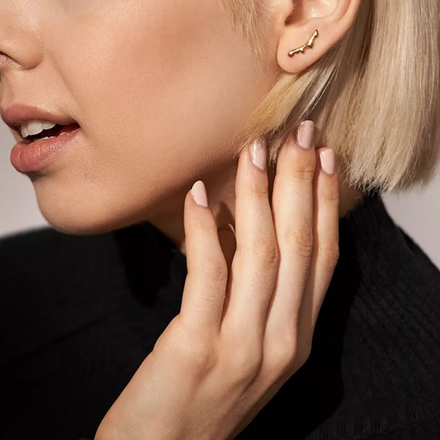 reringe til kvinder Skagen SKJ1773710 #3