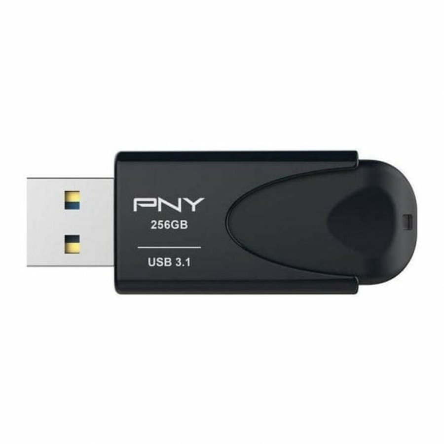 RAM-hukommelse PNY Attache 4 Sort 256 GB #1