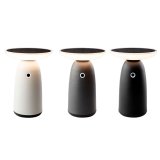 Solcellelampe Lumineo 897850 22 cm Touch fjernbetjening #1