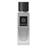 Herreparfume EDP The Woods Collection 100 ml Natural North Star #1