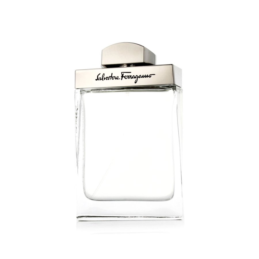 Herreparfume Salvatore Ferragamo EDT Pour Homme 100 ml #2