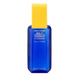 Herreparfume Antonio Puig EDT Agua Quorum 100 ml #2