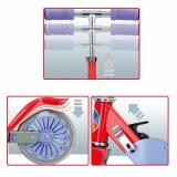 Lbehjul Colorbaby Rd 6 enheder #4