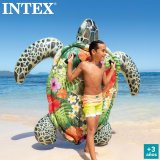 Oppustelig Figur til Pool Intex 170 x 38 x 191 cm (4 enheder) #6