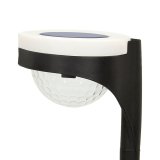 S�t med solcelle-havelys Aktive 2 Dele polypropylen 11 x 49 x 12 cm (4 enheder) #7