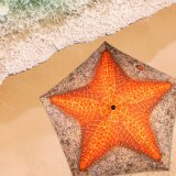 Parasol Aktive 180 x 210 x 180 cm 180 x 215 x 180 cm (6 enheder) #6