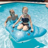 Oppustelig flyder Intex 145 x 185 cm (6 enheder) #5
