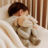 Bamse Colorbaby Polyester 20 x 25 x 20 cm (6 enheder) #6