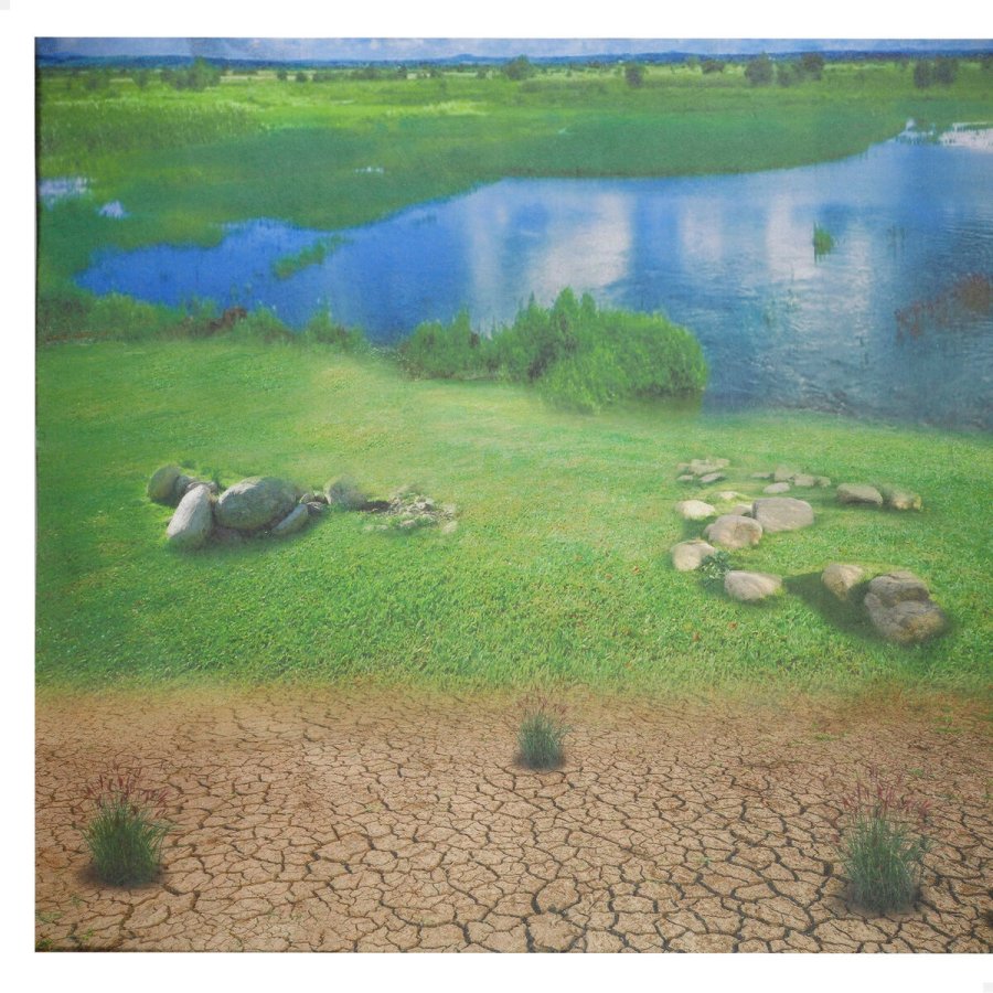 St Bondegrdsdyr Colorbaby Plastik 16 x 12 x 4 cm (4 enheder) #4