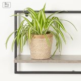 Knager�kke Max Home Jern Tr� MDF (4 enheder) #3