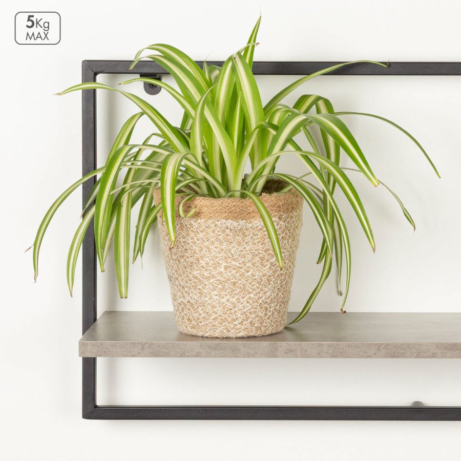 Knager�kke Max Home Jern Tr� MDF (4 enheder) #3