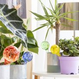 Automatiske vande balloner Ballwooters InnovaGoods 4 enheder #2