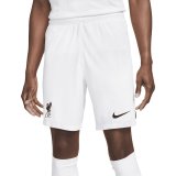 Sport shorts til mnd Nike DN2725-100-M #1