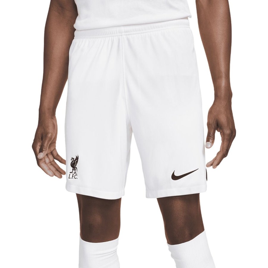 Sport shorts til mnd Nike DN2725-100-M #1