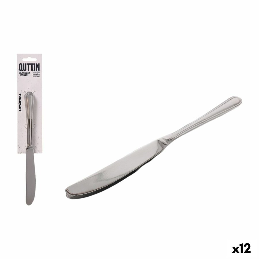 Knivst Quttin Antrtica Slvfarvet Rustfrit stl 21,6 x 1,8 cm 2 Dele (12 enheder) #1