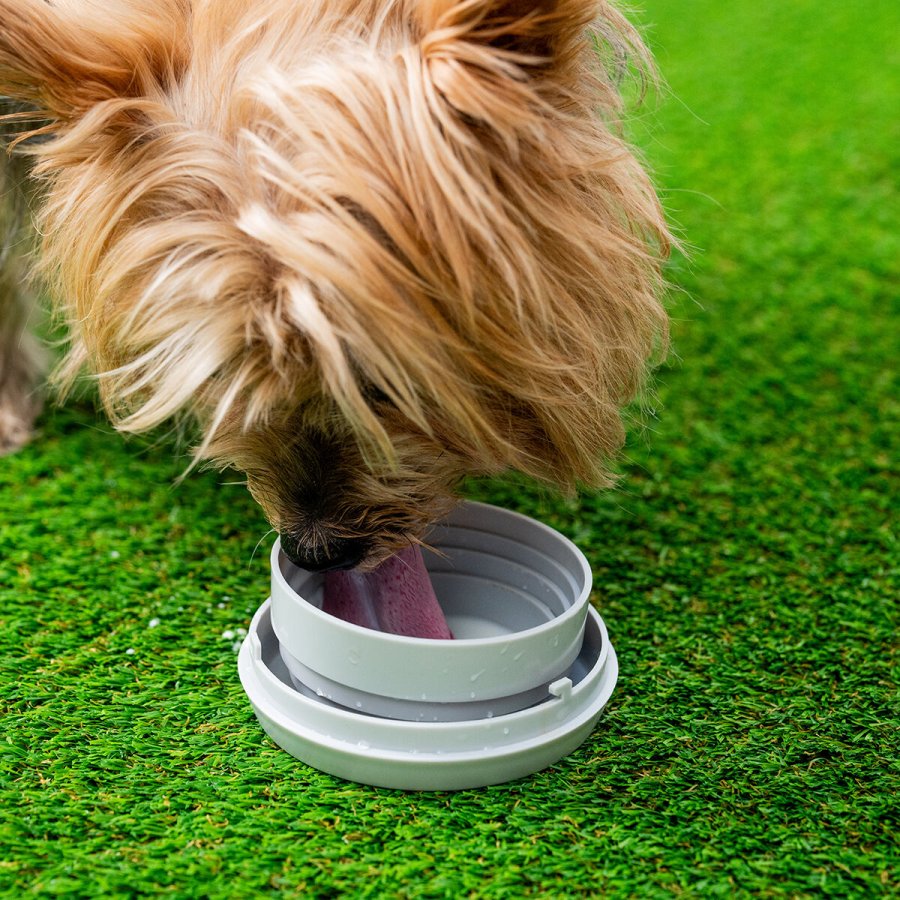 Udtrkkelig hundesnor 6-i-1 Leashic InnovaGoods #7