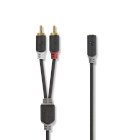 Stereo Audio kabel | 2x RCA Hanstik | 3.5 mm Hunstik | Guldplateret | 0.20 m | Runde | Antracit | Box #1