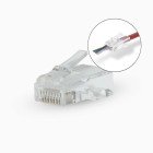 RJ45-stik | RJ45 Pass Through | Solid UTP CAT5 | Lige | Guldplateret | 10 stk. | PVC | Gennemsigtig | Box #1