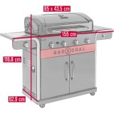 Hybridgrill Gas2Coal 2.0 4+1 Brnnare #3