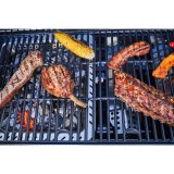 Hybridgrill Gas2Coal 2.0 4+1 Brnnare #7