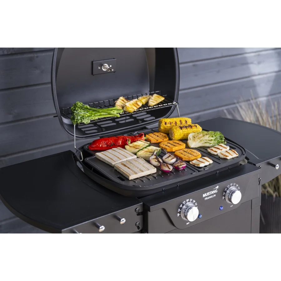 Elgrill Franklin 648960 #5