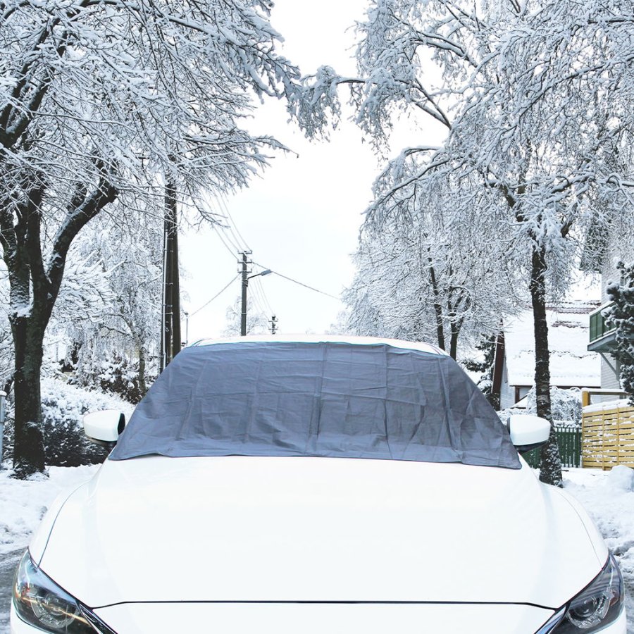 Magnetisk forrudedkken #1